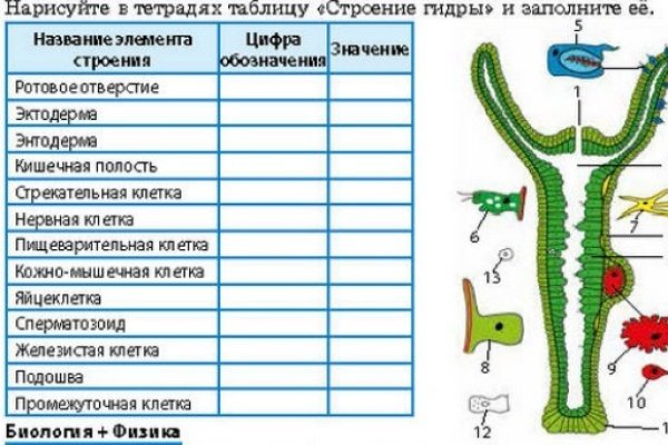 Блекспрут рабочие зеркала bs2webes net