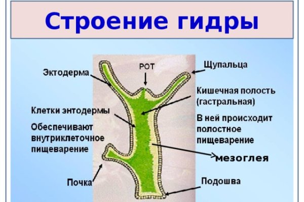 Блэкспрут маркетплейс