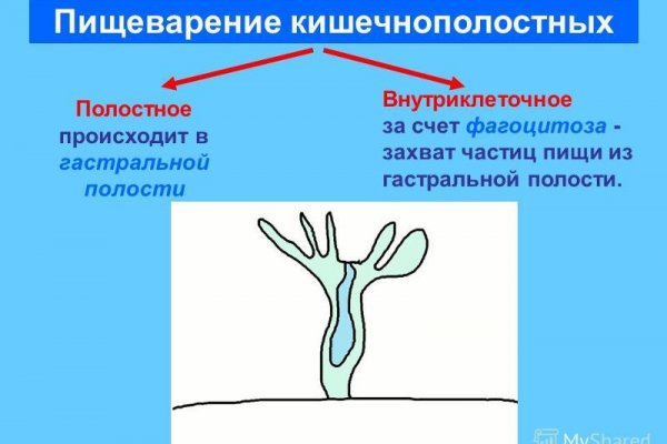 Блэк спрут не работает bs2web top