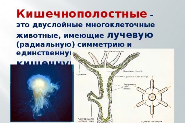 Официальная ссылка на blacksprut blacksprut wiki